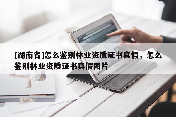 [湖南省]怎么鑒別林業(yè)資質證書真假，怎么鑒別林業(yè)資質證書真假圖片