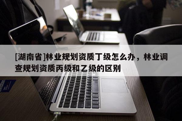 [湖南省]林業(yè)規(guī)劃資質(zhì)丁級怎么辦，林業(yè)調(diào)查規(guī)劃資質(zhì)丙級和乙級的區(qū)別